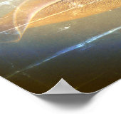 Bigfin reef squid, Sepioteuthis lessoniana, ポスター (角)