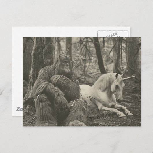 Bigfoot and a Unicornヴィンテージ撮影はがき ポストカード (正面/裏面)