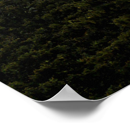 Bigfoot Encounter - Re-Sizableポスター ポスター (角)