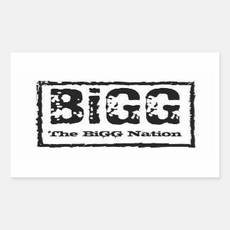BiGGネイションステッカー 長方形シール