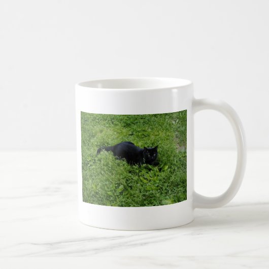 biggby summer.jpg コーヒーマグカップ (右)