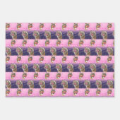 Biggie the Bulldog Giftwrap Set of 3 ラッピングペーパーシート (正面3)