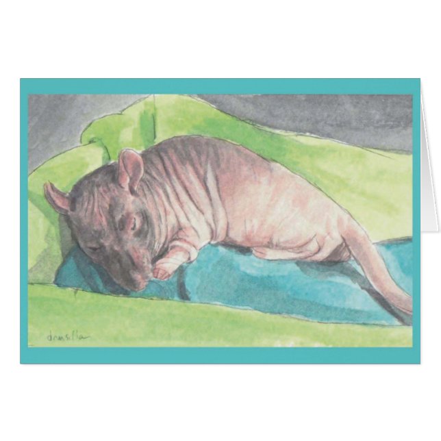 Bigglesworth氏 (正面横)