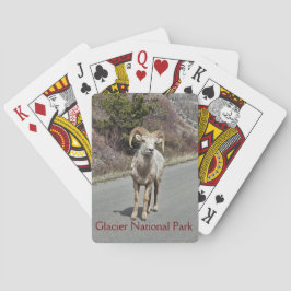 Bighorn Sheepの写真 トランプ