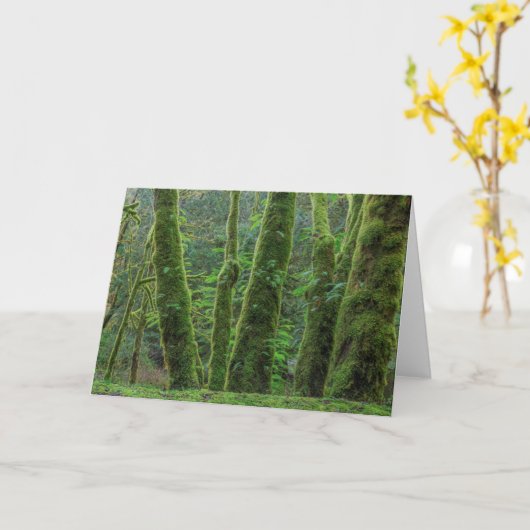 Bigleaf Maple Trees & Ferns | Washington State カード (黄色い花)