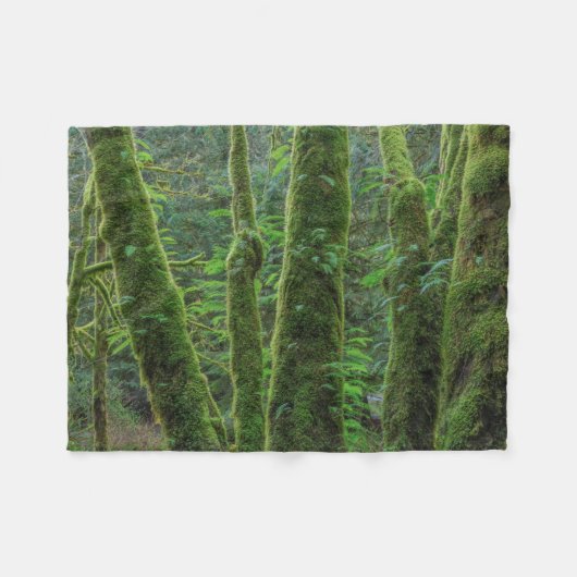 Bigleaf Maple Trees & Ferns | Washington State フリースブランケット (正面(横))