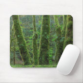 Bigleaf Maple Trees & Ferns | Washington State マウスパッド (マウス)