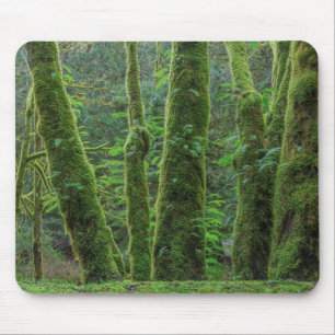 Bigleaf Maple Trees & Ferns Washington State マウスパッド