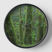 Bigleaf Maple Trees & Ferns | Washington State 壁時計 (正面)