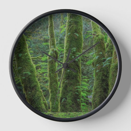 Bigleaf Maple Trees & Ferns | Washington State 壁時計 (正面)
