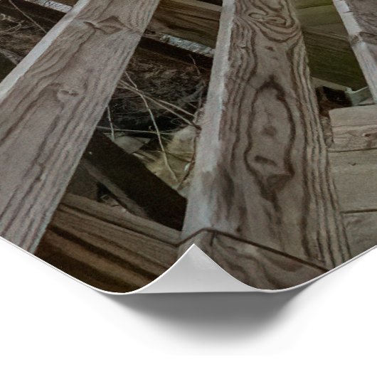 Bike Path Bridge ポスター (角)