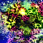 BilAトランプ トランプ