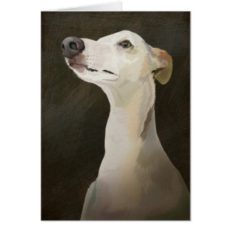 Bilbo Whippet