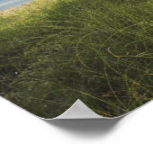 Bill Baggs Cape Florida Lighthouse, Bill Baggs ポスター (角)