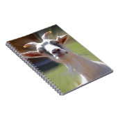 BillyGoatの間抜けな写真 ノートブック (右側)