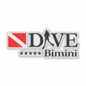 Bimini DV4 シール (正面)