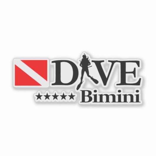 Bimini DV4 シール (正面)