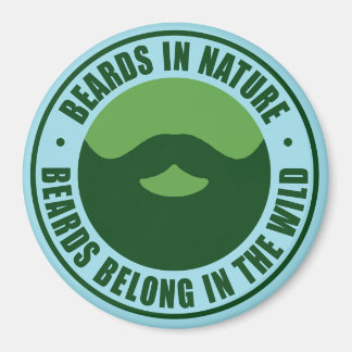 BiN磁石 マグネット