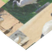 Bin Chicken Circuals：イビスのコラージュ テーブルクロス (アングル)