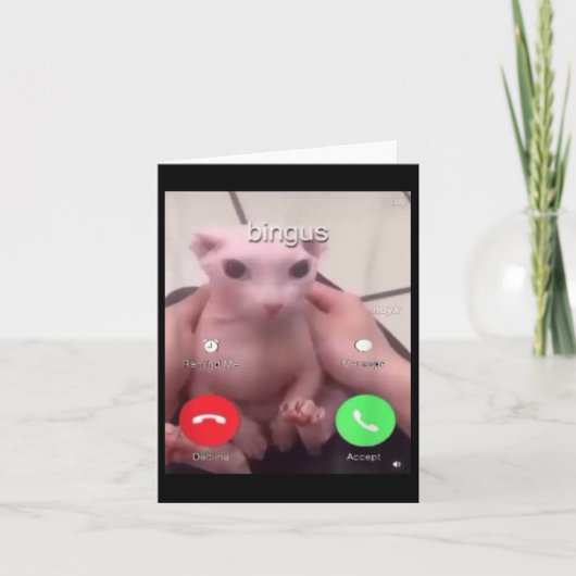 Bingusがヘアレススフィンクス猫Bingus Cat Mと呼んでいる カード (正面)