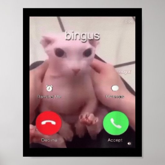 Bingusがヘアレススフィンクス猫Bingus Cat Mと呼んでいる ポスター (正面)