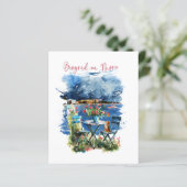 Biograd na moru 3 (スタンド正面)