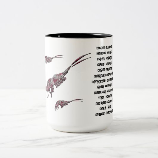 Biological classification for a carcinologist  ツートーンマグカップ (中央)
