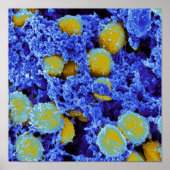 biology microbiology abstract art poster or canvas ポスター (正面)