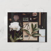 Biology science Flat Lay Academia ポストカード (正面/裏面)