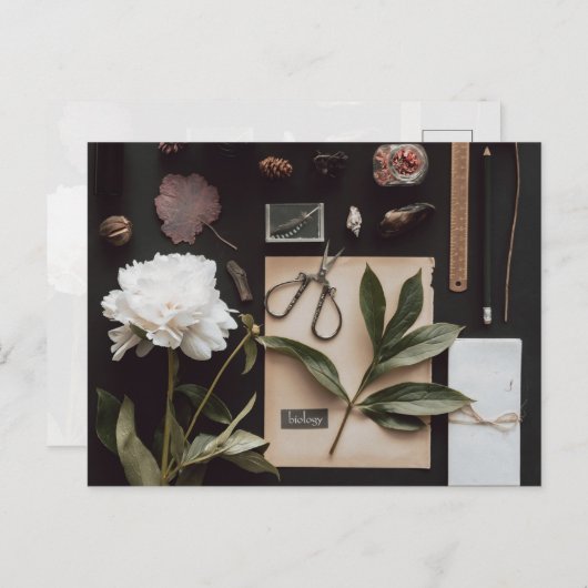 Biology science Flat Lay Academia ポストカード (正面/裏面)