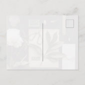 Biology science Flat Lay Academia ポストカード (裏面)