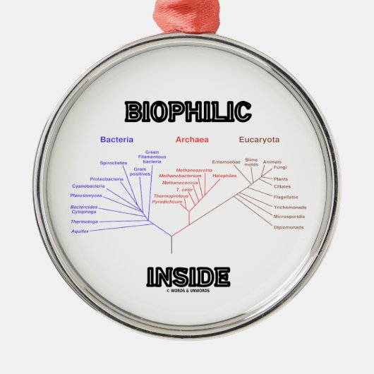 Biophilic内部の系統発生の生命の樹 メタルオーナメント (正面)