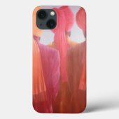 Birのトリオ Case-Mate iPhoneケース (裏面)