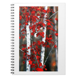 Birch#2ノート ノートブック