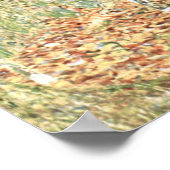 Birch Forest by Gustav Klimt ポスター (角)