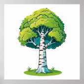 Birch tree ポスター (正面)
