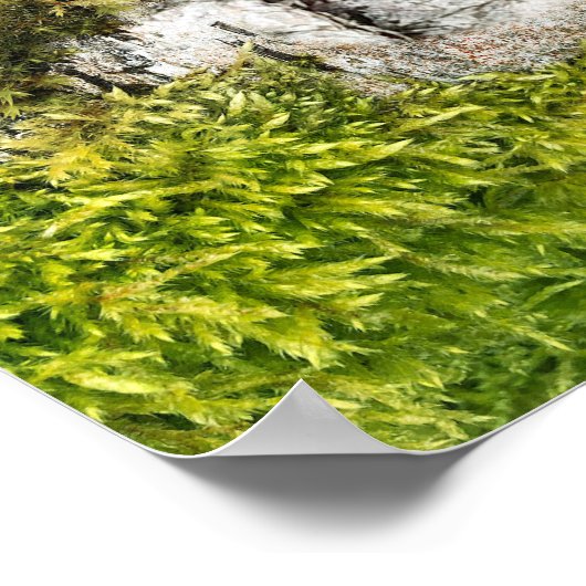 Birch Tree Heart Rustic Fall Wedding Welcome ポスター (角)