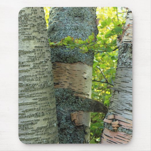 BirchTree マウスパッド (正面)