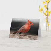 Birdコレクション：北（鳥）ショウジョウコウカンチョウ(注空白の) カード (黄色い花)