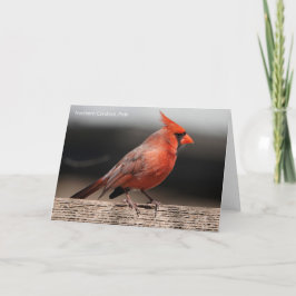 Birdコレクション：北（鳥）ショウジョウコウカンチョウ(注空白の) カード