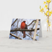 Birdコレクション:北(鳥)ショウジョウコウカンチョウ(注空白の) カード (黄色い花)