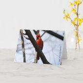 Birdコレクション：北（鳥）ショウジョウコウカンチョウ(注空白の) カード (黄色い花)