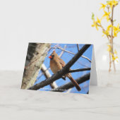 Birdコレクション:北(鳥)ショウジョウコウカンチョウ(注空白の) カード (黄色い花)