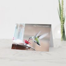 Birdコレクション： Hummingbird (注空白の)