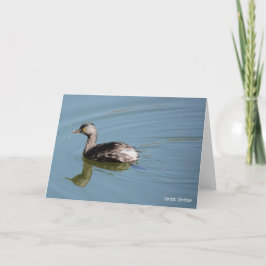 Birdコレクション： Least Grebe (注空白の) カード