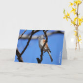 Birdコレクション： Tusted Titmouse (注空白の) カード (黄色い花)