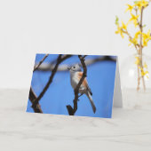 Birdコレクション： Tusted Titmouse (注空白の) カード (黄色い花)