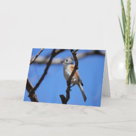 Birdコレクション： Tusted Titmouse (注空白の) カード