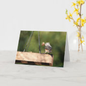 Birdコレクション： Tusted Titmouse (注空白の) カード (黄色い花)