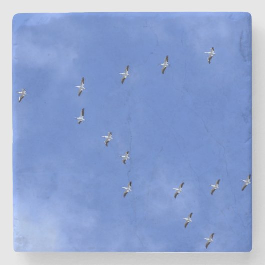 Bird ストーンコースター (正面)